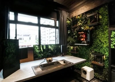 AttackGem’s Setup