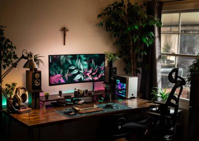 cichlid_visuals’ Setup