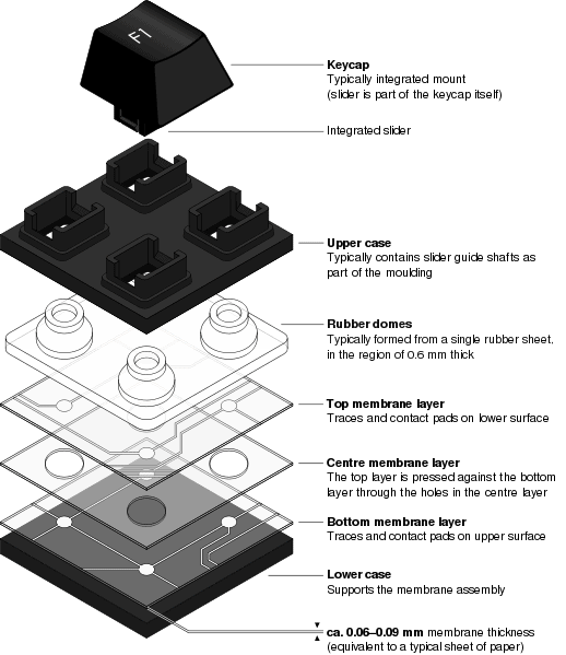 Rubber domes and membrane switches