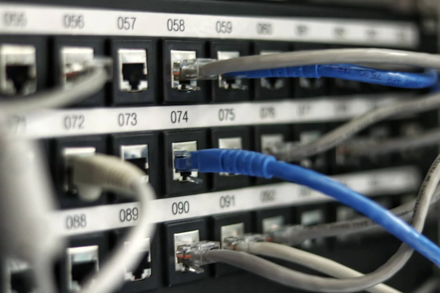 Ethernet cables connected to network switch