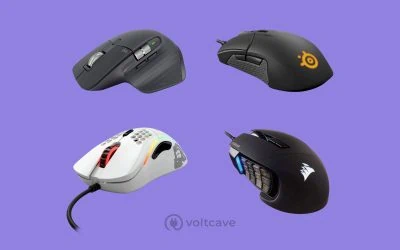 The 6 Best Palm Grip Gaming Mice in 2022