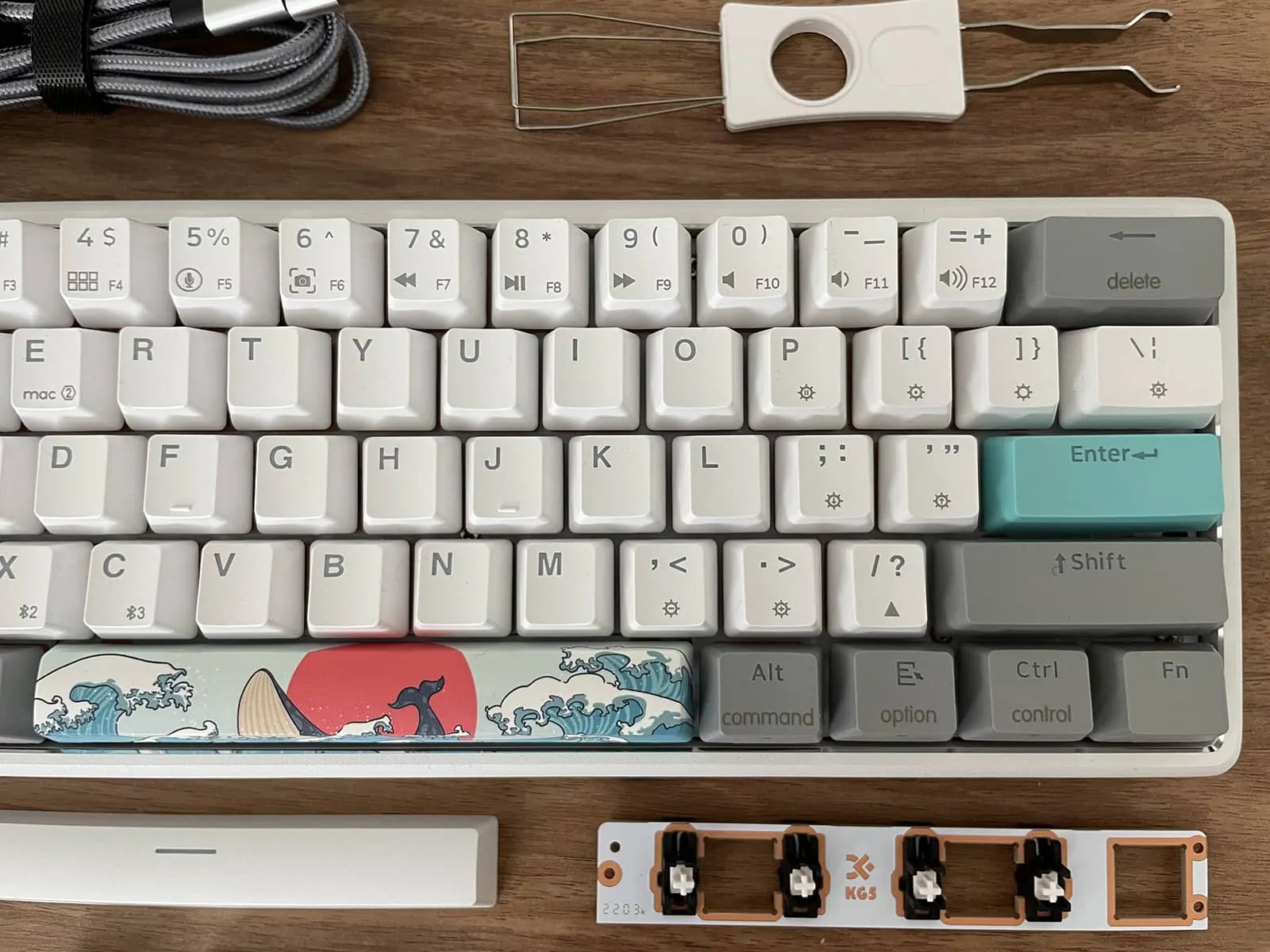 PBT Coral Sea closeup