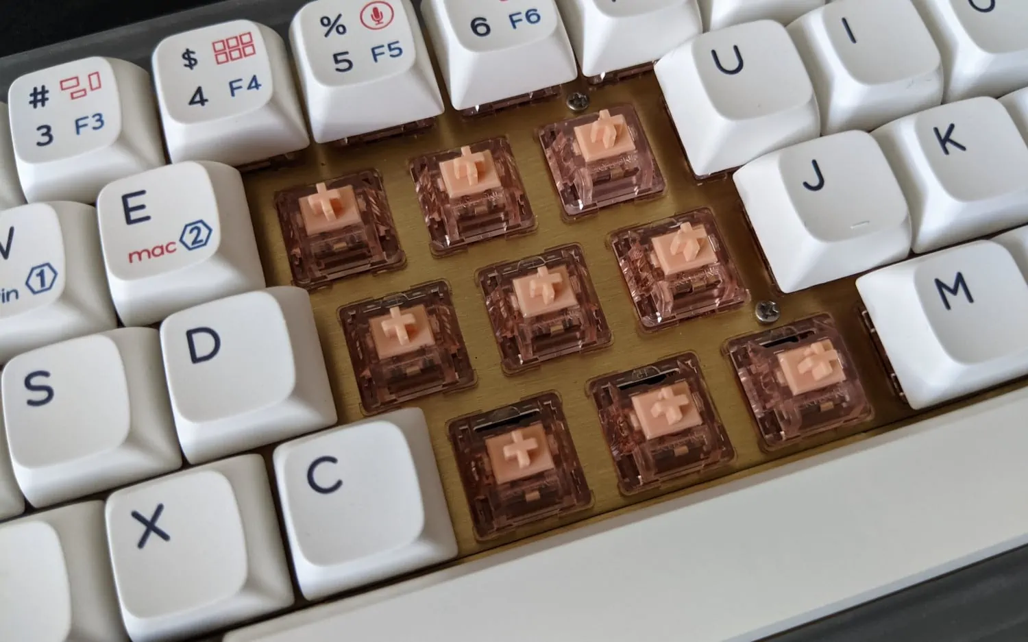 Skyloong Chocolate Rose switch
