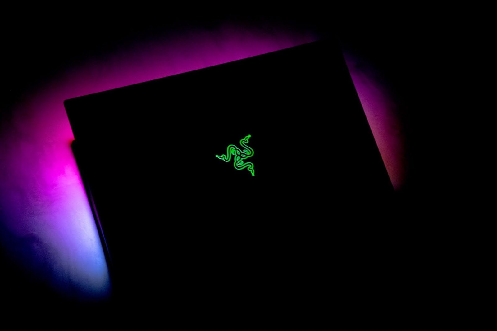 Wide shot of Razer Green Snake logo on laptop. 