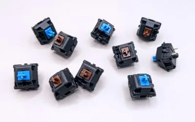 Brown vs. Blue Switches: Should You Go Tactile or Clicky?