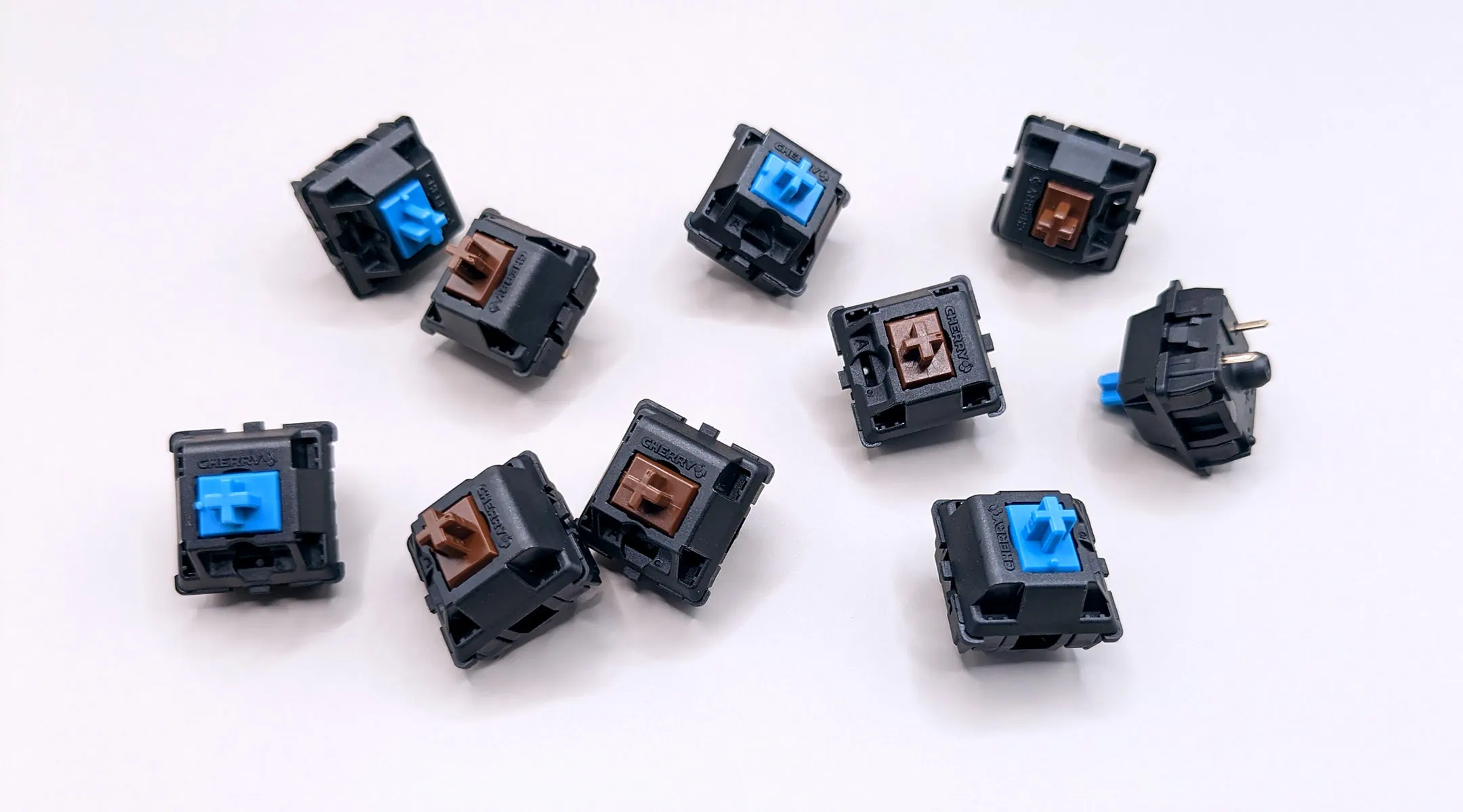 blue vs brown switches