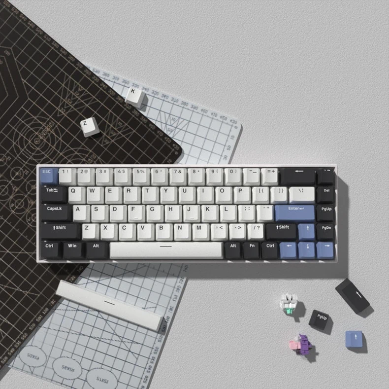FL Esports F12