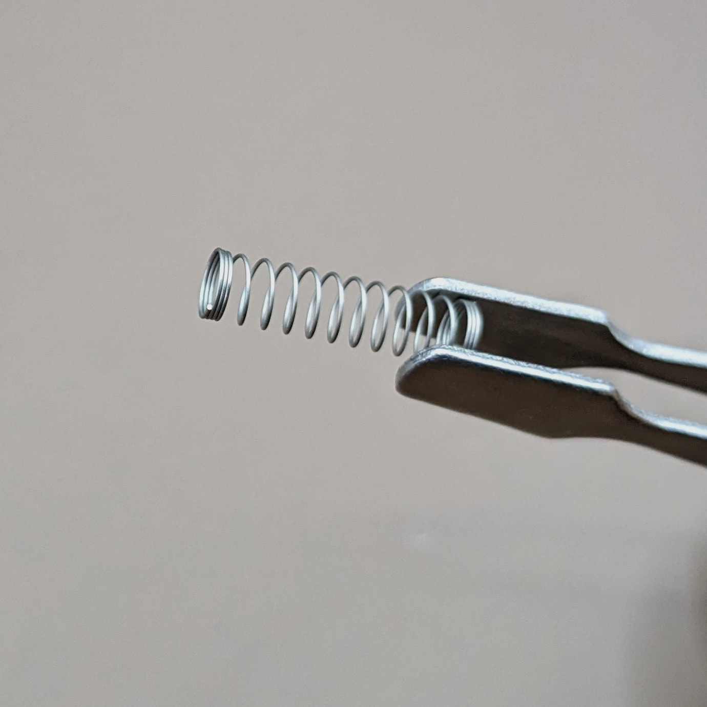 Switch spring