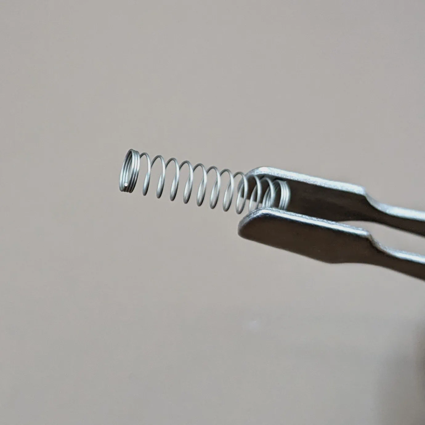 Switch spring
