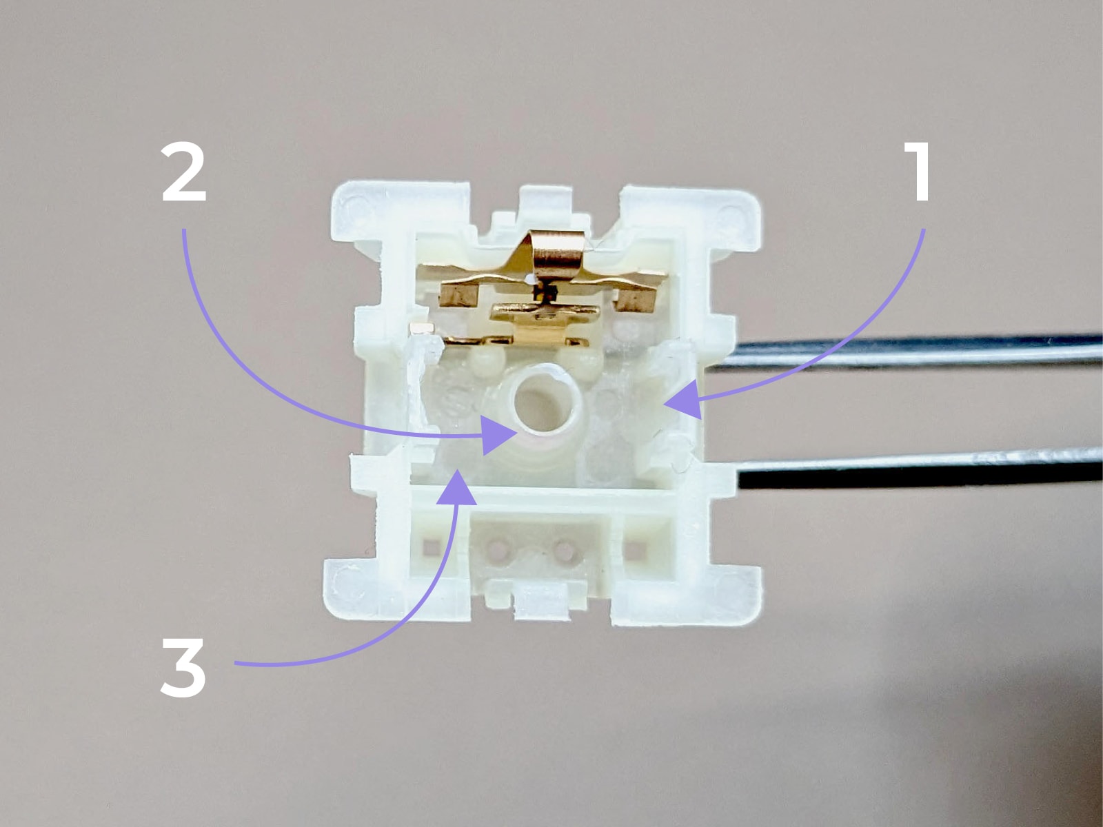 Switch bottom housing