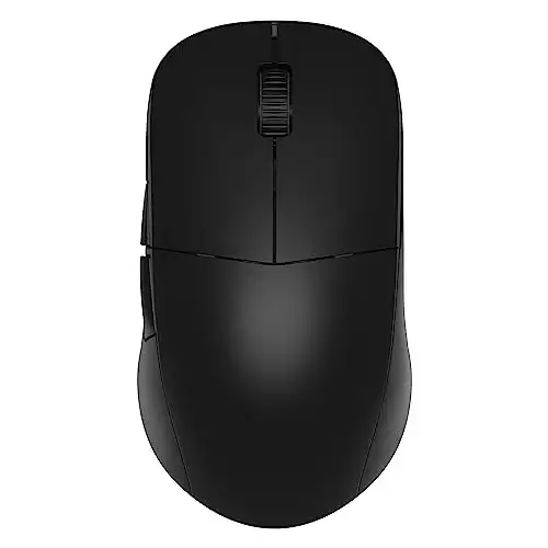 Endgame Gear XM2we Wireless Gaming Mouse